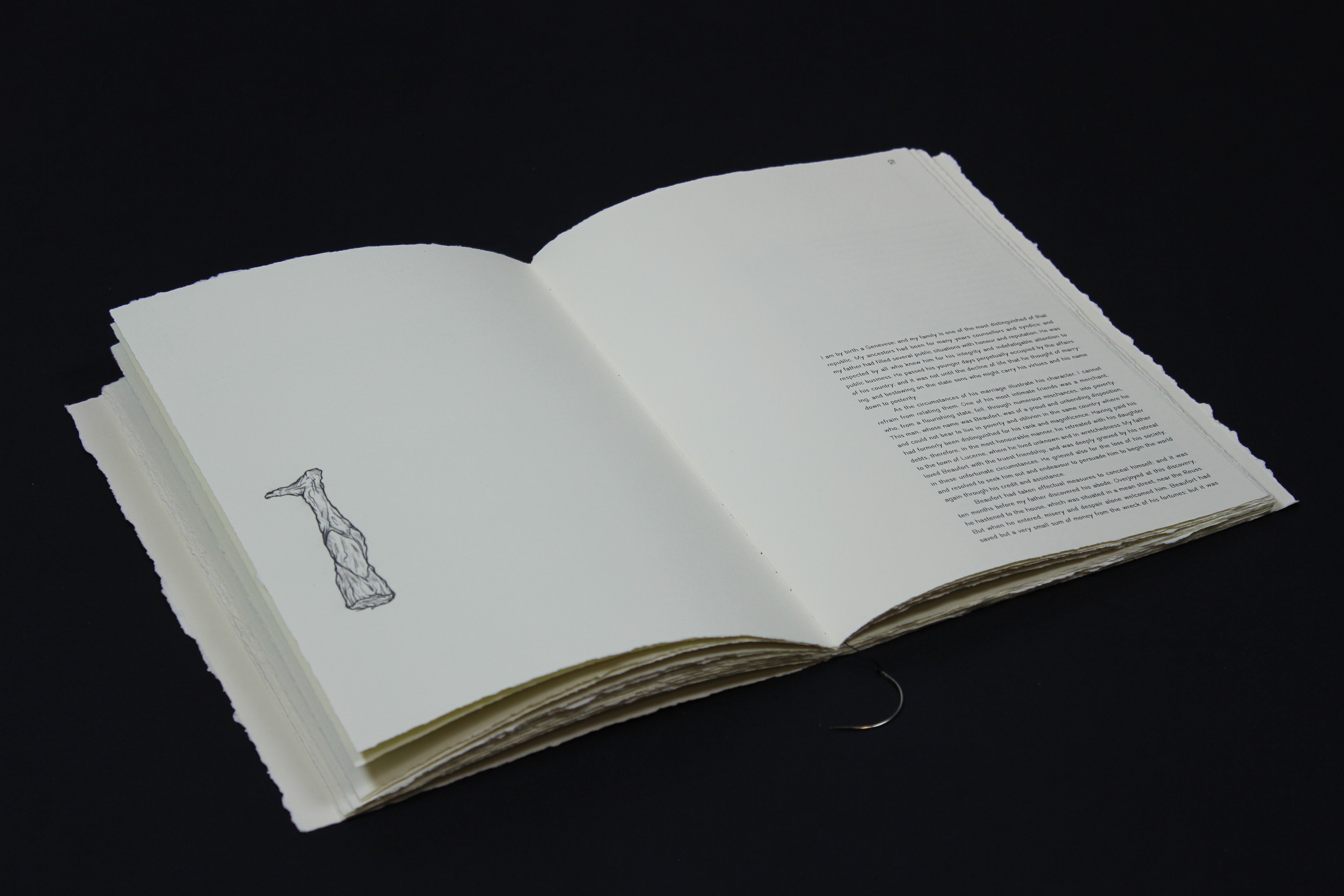 12_frankenstein_chapter_1