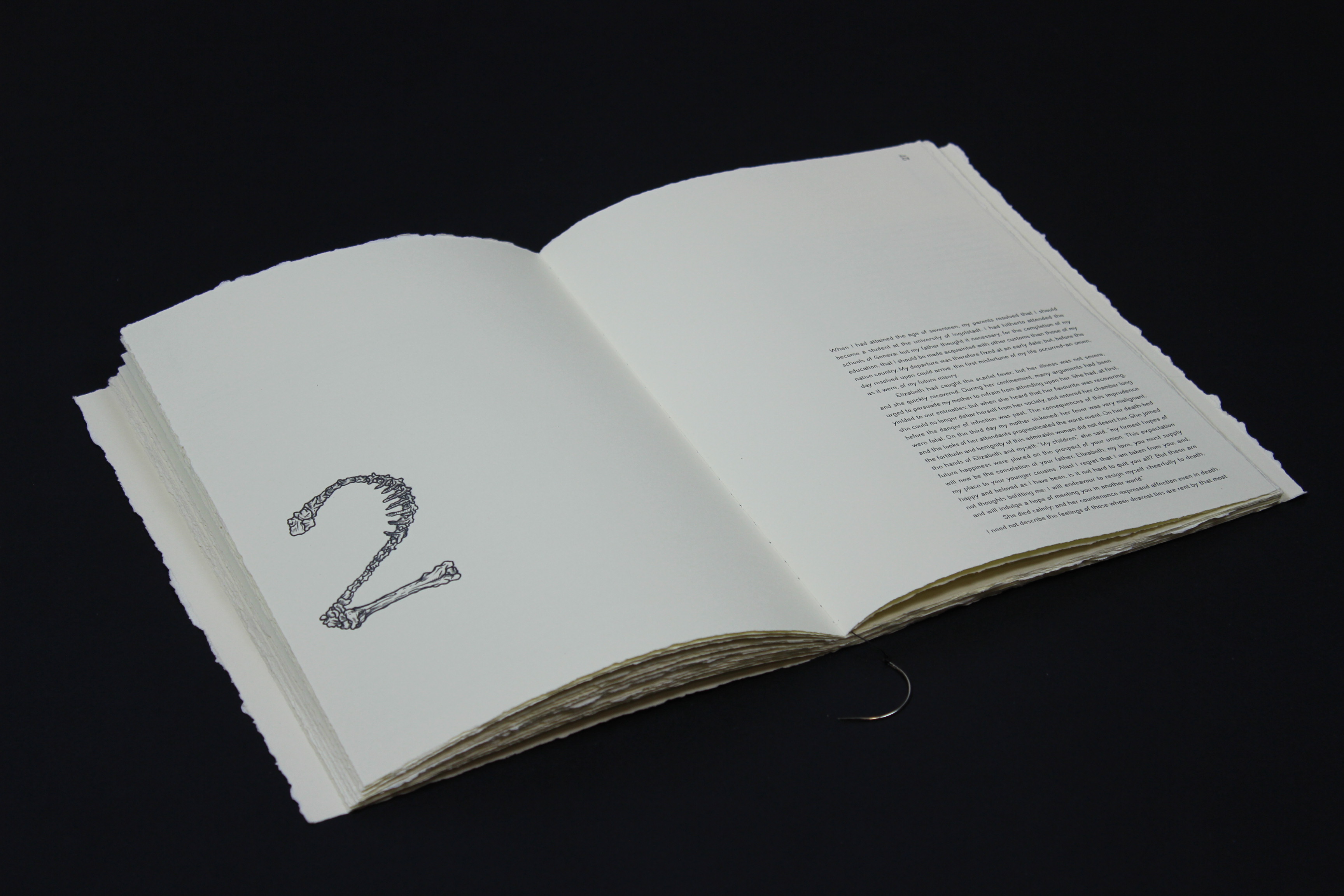 13_frankenstein_chapter_2
