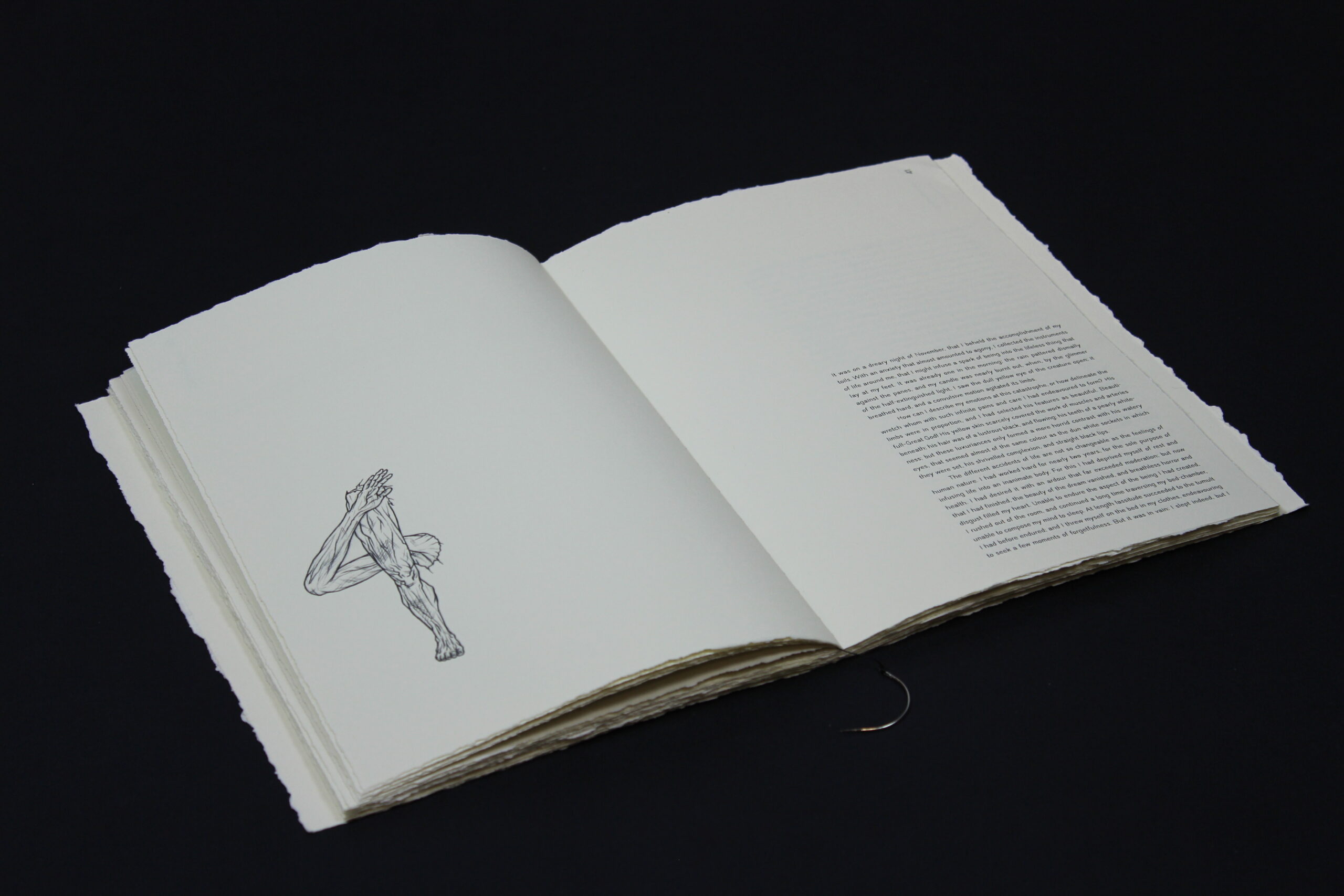 16_frankenstein_chapter_4