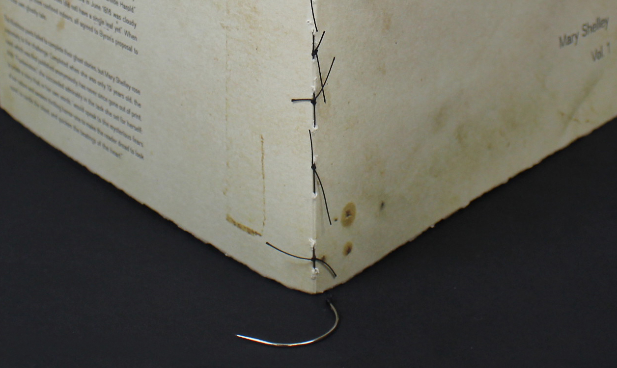 25_frankenstein_detail_of_sutures_and_bookmark 25_frankenstein_detail_of_sutures_and_bookmark