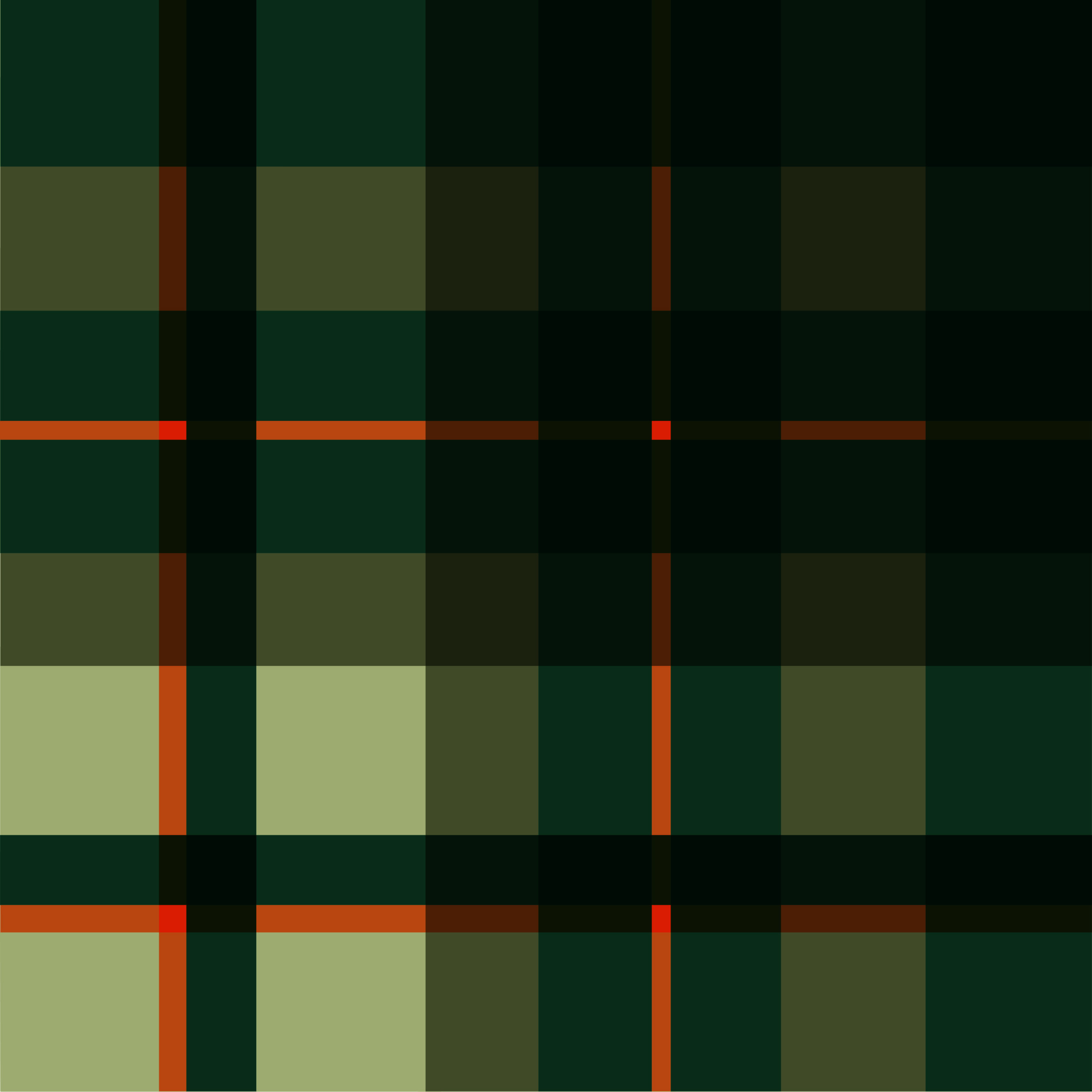 catch_&_capture_pattern_design_4_plaid_final_client_type_opt