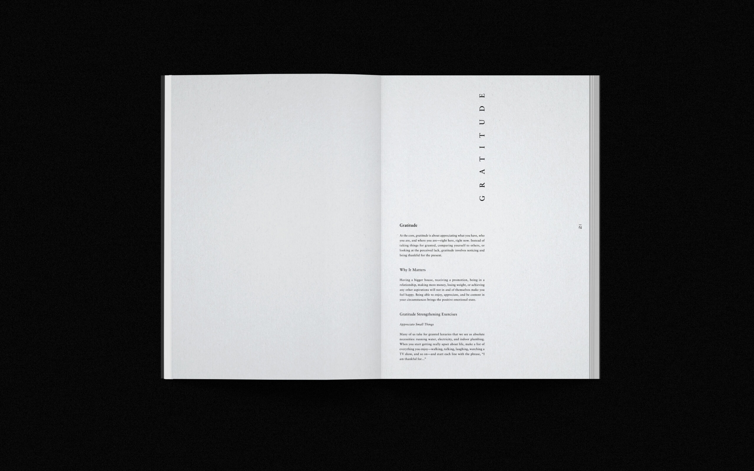 program_mockup_full_spread_1_gratitude
